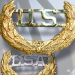 U.S. AND C.S.A. CAP PINS