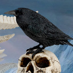 Raven On Skull Statue