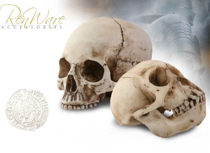 NobleWares Image of Life Size Human Skull Head 8035 and Monkey Skull 8036 by YTC Summit Collection