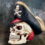PIRATE SKULL MONEY BANK