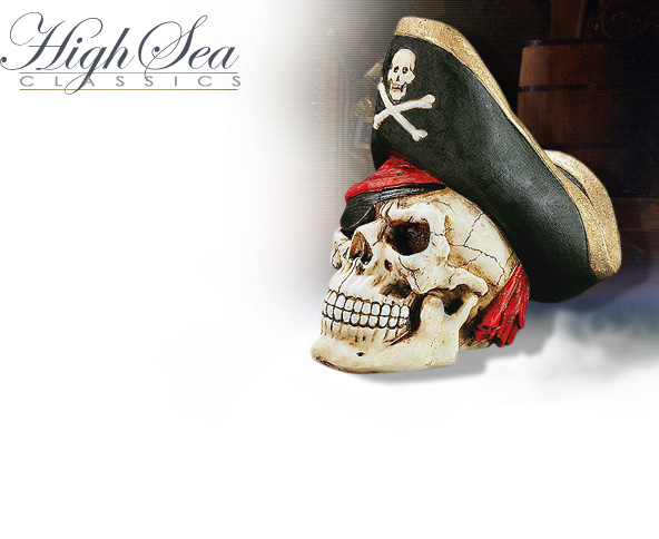 NobleWares Image of Pirate Captain- Skull Money Bank 5258