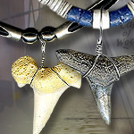 Shark Tooth Necklaces NK1511 NK2107ST