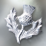 Scottish Thistle Cap Badge LI7805