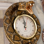 Coiled Rattle Snake Desk Clock NW1982